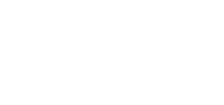 Certified Neuro Web Expert